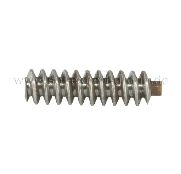 Schnecke S1S, Modul 0.3, Bohrung 1.0 mm